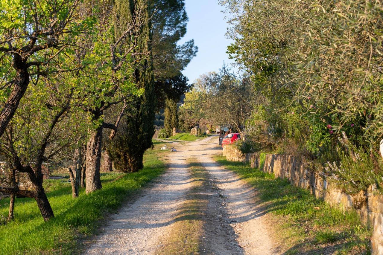 B&B Locanda Degli Aromi San Jacopo al Girone Kültér fotó